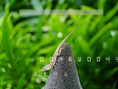 公務員停薪留職讀研可行嗎（有關停薪留職要注意什么）