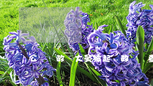 公務員政審大舅被起訴(政審會查舅舅嗎)