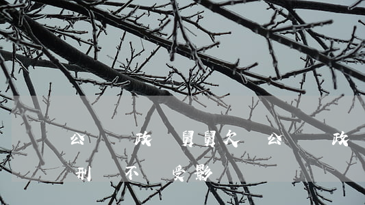 公務員政審舅舅欠錢(公務員政審舅舅正在服刑會不會受影響)
