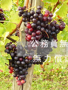 公務員無力償還銀行貸款怎么處理-公務員無力償還銀行貸款怎么處理呢