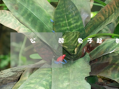 公務員醉駕免于起訴如何處理
