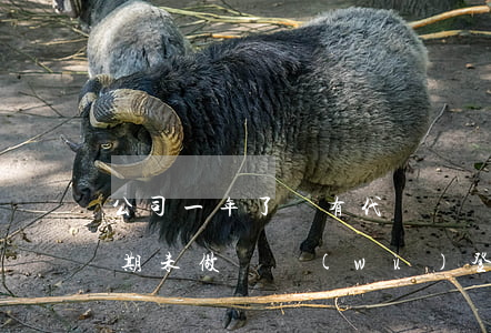 公司一年了沒有代記賬稅務(wù)逾期(逾期未做稅務(wù)登記)