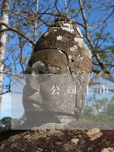 公司上市前怕仲裁嗎(上市公司怕什么投訴) 公司上市前怕仲裁嗎(上市公司怕什么投訴)