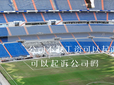 公司不发工资可以起诉法院吗(公司没发工资可以起诉公司吗)