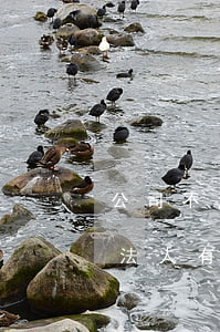 公司不注销对法人有什么影响(公司不注销对法人有什么影响)
