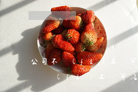 公司不發(fā)工資可以起訴法院嗎(公司沒發(fā)工資可以起訴公司嗎)