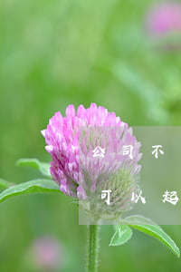 公司不發工資可以起訴法院嗎(公司沒發工資可以起訴公司嗎)