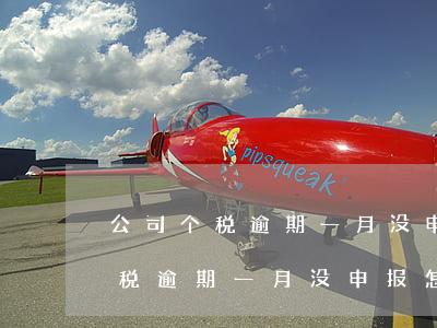 公司个税逾期一月没申报怎么补报-公司个税逾期一月没申报怎么补报呢