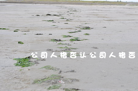 公司人格否认(公司人格否认制度案例)