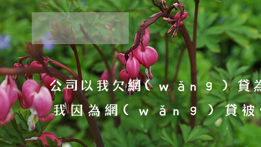公司以我欠網(wǎng)貸為由欲要開除我(因為網(wǎng)貸被公司辭退)