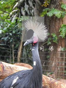 公司保函賬戶的錢(qián)法院可以凍結(jié)嗎(請(qǐng)問(wèn)法院凍結(jié)公司銀行賬戶的錢(qián)是什么原因)