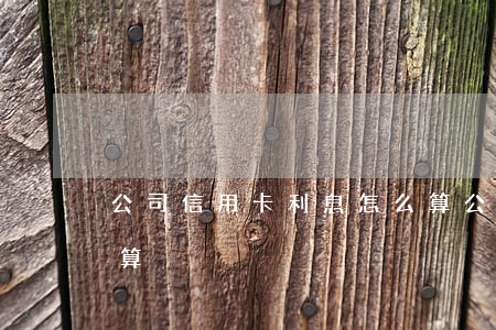 公司信用卡利息怎么算(公司信用卡利息怎么算)