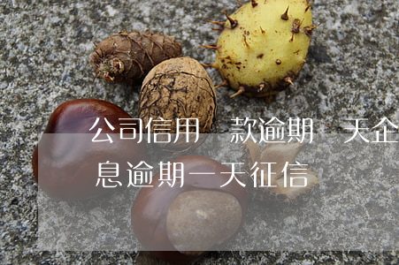 公司信用貸款逾期幾天(企業(yè)貸款利息逾期一天征信)