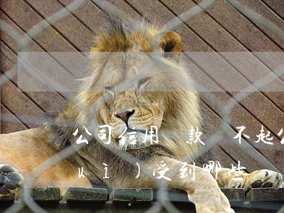 公司信用貸款還不起(公司貸款還不了會(huì)受到哪些責(zé)任)