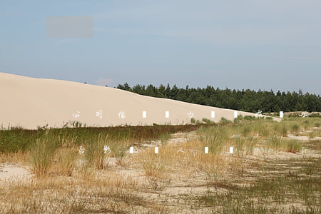 公司信貸無力償還咋辦(公司貸款無力償還是否影響個人財產(chǎn))
