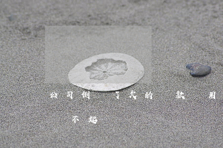 公司倒閉了欠的貨款還用還嗎（公司倒閉貸款還不起）
