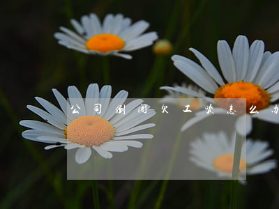 公司倒闭欠工资怎么办