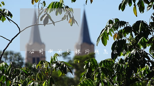 公司倒闭欠银行钱怎么办(为什么企业欠银行钱没事)