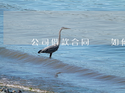 公司借款合同糾紛如何處理