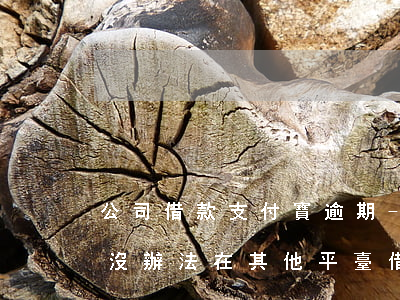 公司借款支付寶逾期-為什么支付寶逾期后沒辦法在其他平臺借款
