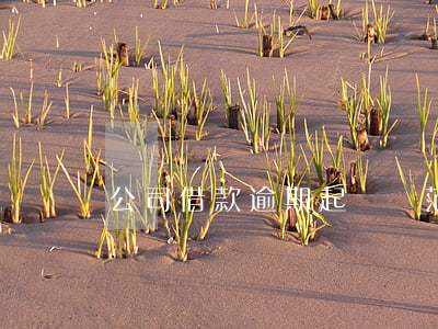公司借款逾期起訴狀范本-貸款逾期起訴書
