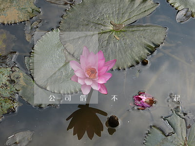 公司借錢不還怎樣起訴(公司借錢不還怎么辦)