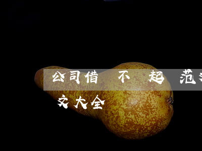 公司借錢不還起訴范文 公司借錢不還起訴范文大全