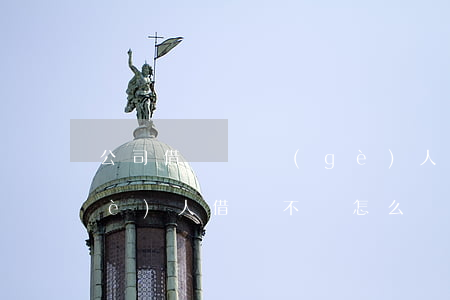 公司借錢給個(gè)人起訴(公司向個(gè)人借錢不還怎么辦)