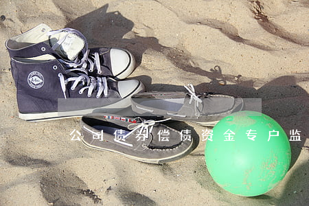 公司债券偿债资金专户监管协议是什么