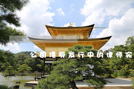 公司债券发行中的律师实务有哪些