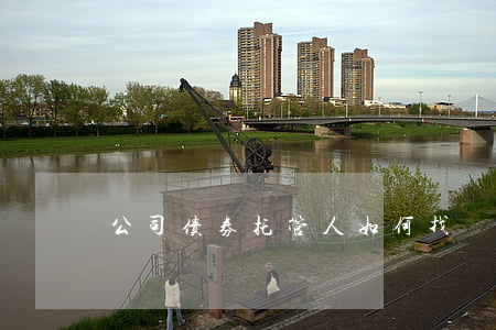 公司债券托管人如何找