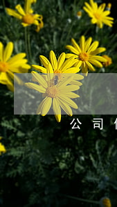 公司债务逾期法院会怎么处理