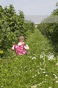 公司做假账，谁承担法律责任