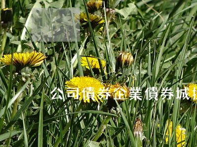 公司債券企業債券城投債券的區別有哪些