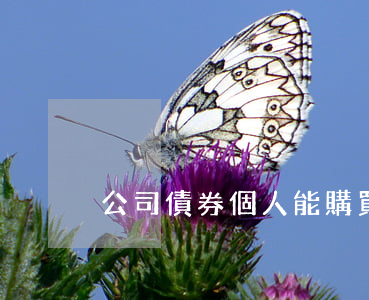 公司債券個人能購買嗎