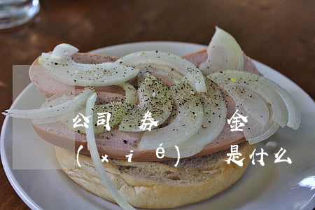 公司債券償債資金專戶監(jiān)管協(xié)議是什么