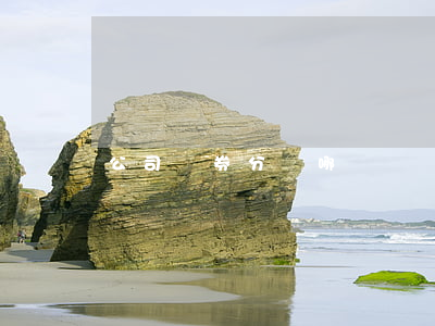 公司債券分為哪幾種