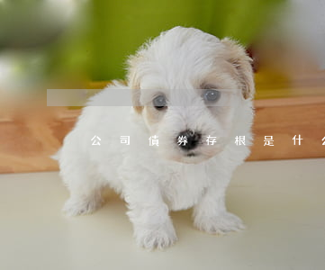 公司債券存根是什么意思