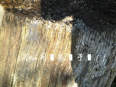 公司債券屬于負(fù)債嗎