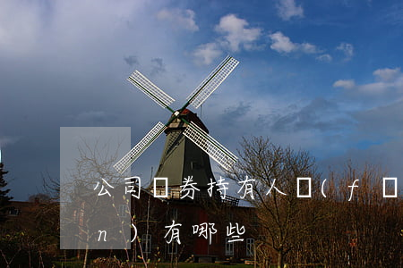 公司債券持有人風(fēng)險(xiǎn)有哪些