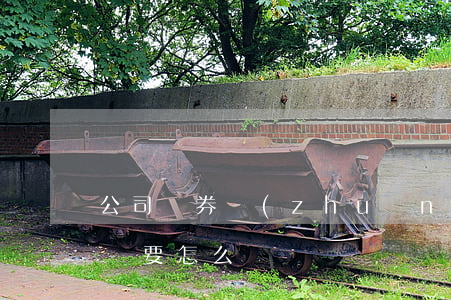 公司債券轉(zhuǎn)讓協(xié)議要怎么寫