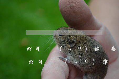 公司債務(wù)律師委托收費(fèi) 公司債務(wù)律師委托收費(fèi)合理嗎