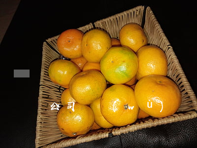公司債務(wù)誰負(fù)責(zé)