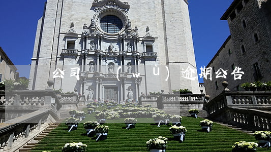 公司債務(wù)逾期公告