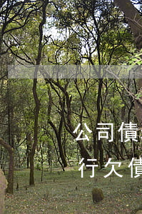 公司債務(wù)逾期被法院執(zhí)行(欠債法院執(zhí)行)