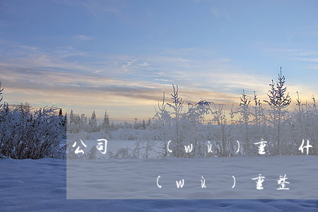 公司債務(wù)重組什么意思（公司無力償還債務(wù)重整）
