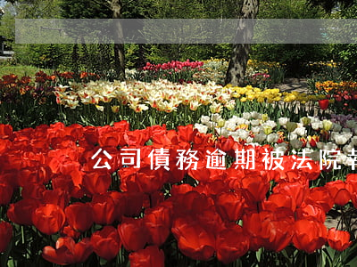 公司債務逾期被法院執行(欠債法院執行)