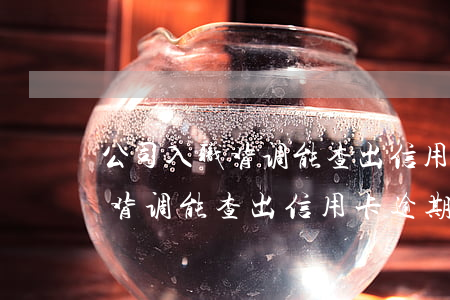 公司入职背调能查出信用卡逾期吗(公司入职背调能查出信用卡逾期吗)