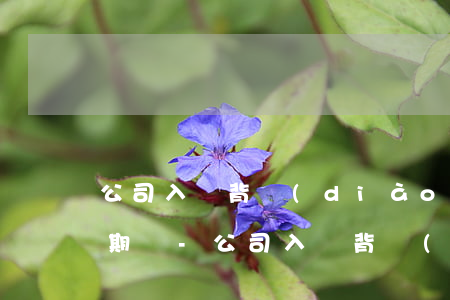 公司入職背調(diào)能查出信用卡逾期嗎-公司入職背調(diào)能查出信用卡逾期嗎怎么辦
