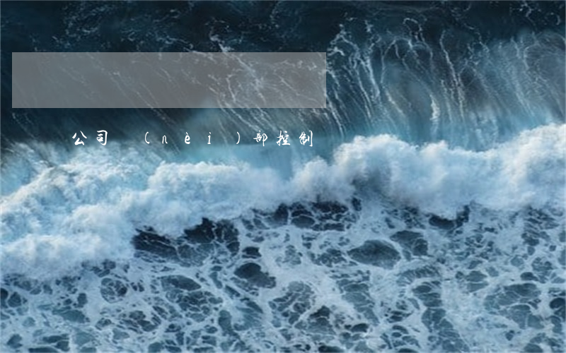 公司內(nèi)部控制